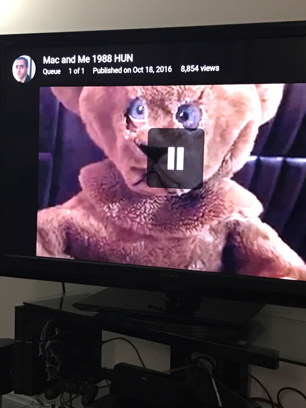 mac-and-me-bear-suit